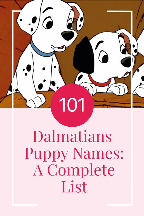 Dalmatian Name Ideas, 100 Dalmatians, 101 Dalmatians Characters, Girl Dog Names, Hairless Dog, 101 Dalmations, Disney 101 Dalmatians, Dalmatian Puppy, Disney Dogs