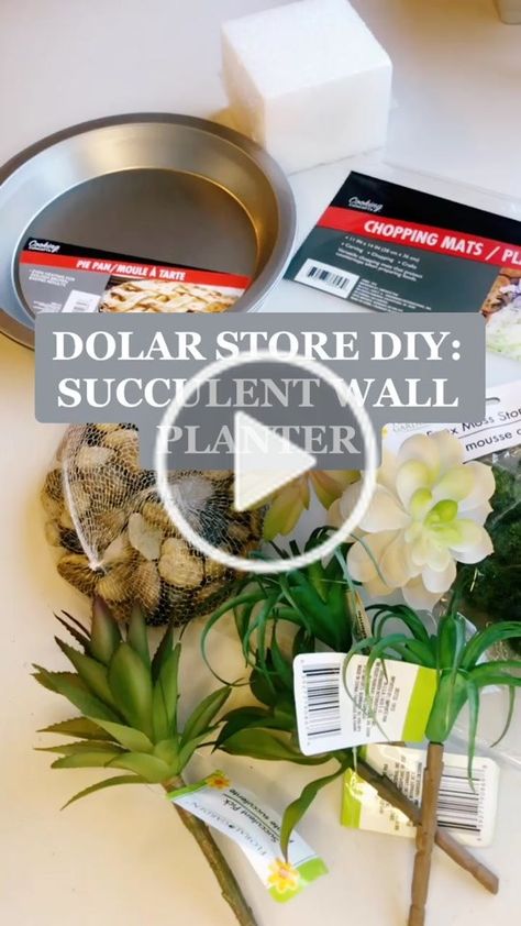 Diy Fake Succulent Wall Planter, Boho Wall Planter, Succulent Diy Ideas Crafts, Diy Faux Succulent Planter, Outdoor Wall Planter Ideas Diy, Boho Succulents Decor, Diy Succulent Wall Decor, Succulent Wall Planter Diy, Diy Succulent Decor