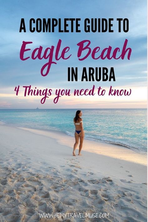 What to Expect When Visiting Eagle Beach in Aruba Aruba Cruise, Eagle Beach Aruba, Aruba Beach, Aruba Travel, Caribbean Island, Caribbean Travel, Cruise Port, Island Getaway, Beaches In The World