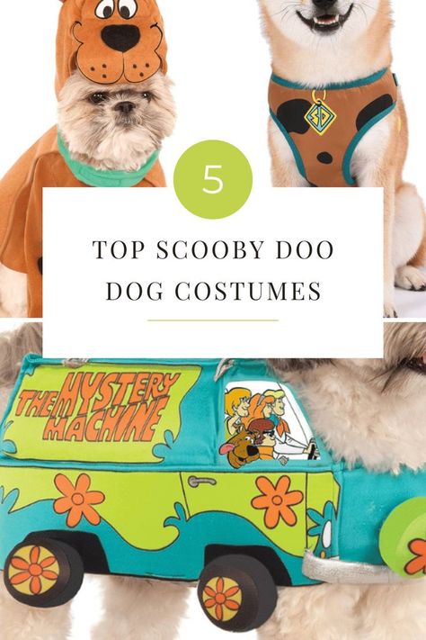 Unleash the inner detective in your pooch with our 'Top 5 Scooby Doo Dog Costumes'. Perfect for adventurous pups who fancy a snack-laden mystery, or just want to howl 'Ruh-Roh! Scooby Doo Dog Costume, Scooby Doo Costumes, Scooby Doo Dog, Mystery Inc, Dog Costumes, Dog Costume, Scooby Doo, Detective, Dogs