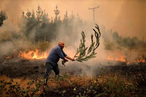 Quincy Quarry finally scores an exclusive "get" from a senior City of Quincy official! First Day Of Work, Climate Crisis, Powerful Images, Pictures Of The Week, Forest Fire, All Over The World, New World, The Past, Photography