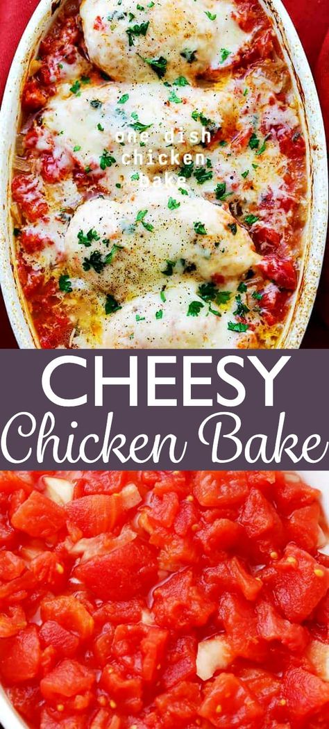 One Dish Chicken Bake, Cheesy Chicken Bake, One Dish Chicken, Canned Tomato Recipes, Recipes With Diced Tomatoes, Chicken Recipes With Tomatoes, Chicken Baked, Chicken Bake, One Dish Dinners