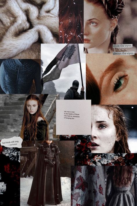 Sansa Stark Moodboard, Sansa Stark Aesthetic Wallpaper, Game Of Thrones Collage, Sansa Stark Wallpaper, Alayne Stone, The Hound And Sansa, Game Of Thrones 3, Game Of Thrones Artwork, George Rr Martin