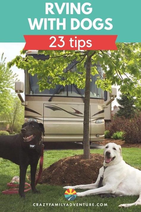 Rv Camping With Dogs, Rv Pet, Rv Dog, Animal Tips, Road Trip With Dog, Traveling With Dogs, Dog Transport, Rving Full Time, Camping With Dogs