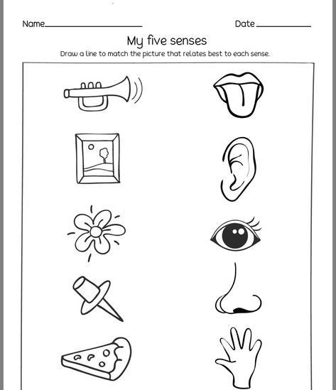 Five Senses Worksheet, Nursery Worksheets, Senses Preschool, Body Parts Preschool, Kindergarten Reading Worksheets, Kids Worksheets Preschool, Free Preschool Worksheets, Preschool Math Worksheets, Free Kindergarten Worksheets