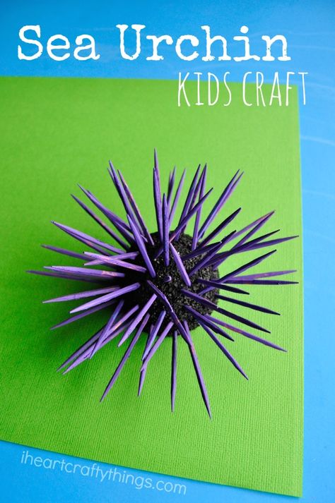 Sea Urchin Kids Craft great for learning about or exploring ocean tide pools. Sea Otter Habitat Project, Sea Urchins Craft, Sea Urchin Craft, Sea Crafts For Kids, Nautical Navigation, Coral Reef Craft, Ocean Diorama, Ocean Vbs, Ocean Theme Crafts