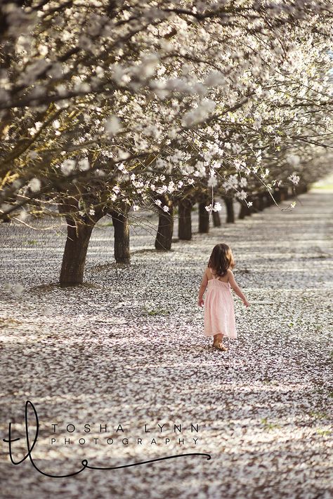 Almond Orchard Photoshoot, Orchard Photoshoot, Almond Orchard, Whimsical Photography, Mommy And Me Photo Shoot, Spring Photoshoot, Bloom Baby, Almond Blossom, Spring Photos