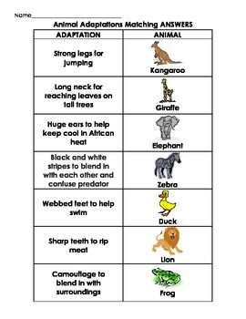 Animal Adaptations Activities, Adaptations Activities, Animal Adaptation, Elephant Black And White, Animal Classification, Animal Adaptations, Matching Worksheets, Card Games For Kids, Game Google