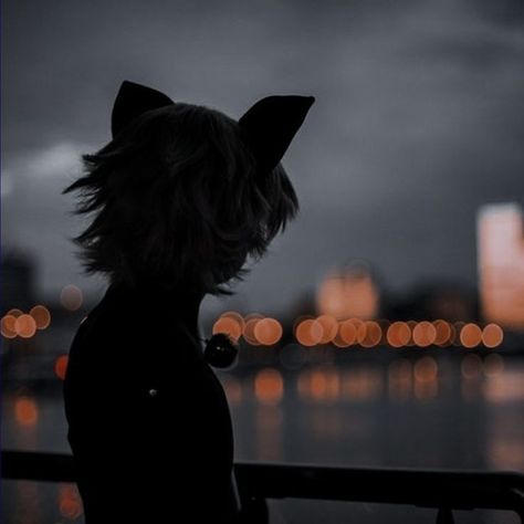 Gabriel Agreste Aesthetic, Adrien Agreste Real Life, Adrien Aesthetic, Adrien Core, Mlb Aesthetic, Fanfic Prompts, Aesthetic Miraculous, Miraculous Aesthetic, Cat Noir Miraculous