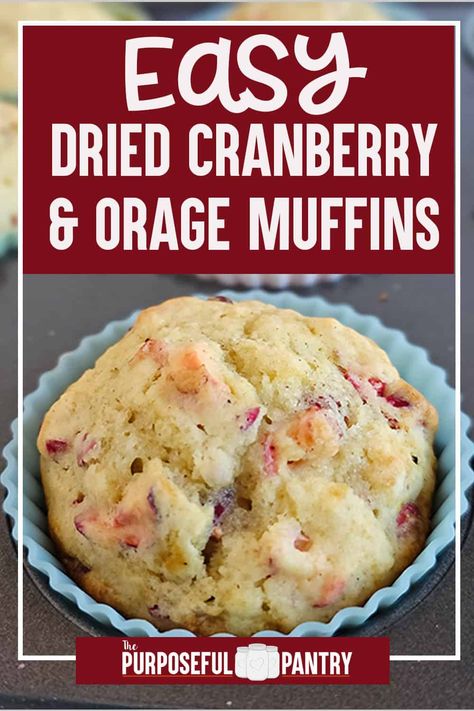 Easy Dried Cranberry and Orange Muffins - The Purposeful Pantry Dried Cranberry Muffins, Cranberry Recipes Healthy, Dried Cranberries Recipes, Cranberry Orange Muffin Recipe, Cranberry Recipes Muffins, Easy Breakfast Treats, Dried Cranberry, Fruit Muffins, Simple Family Meals