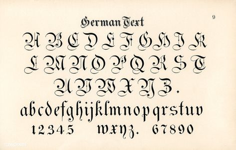 German style calligraphy fonts from Draughtsman's Alphabets by Hermann Esser (1845–1908). Digitally enhanced from our own 5th edition of the publication. | free image by rawpixel.com English Calligraphy Font, German Font, Free Cursive Fonts, German Text, Calligraphy Letters Alphabet, Calligraphy Fonts Alphabet, English Calligraphy, S Alphabet, Typography Alphabet