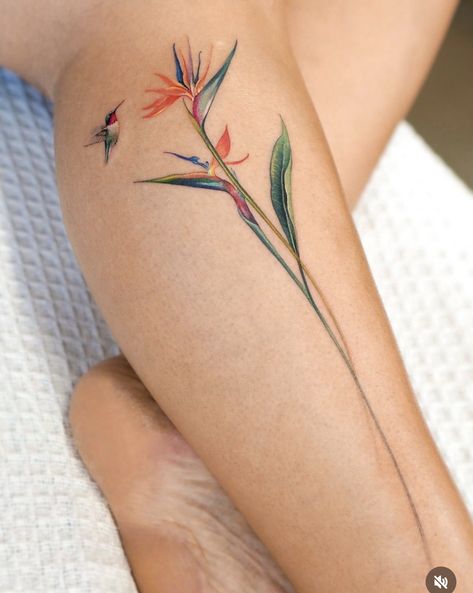 Tropical Tattoos For Women, Tropical Flower Tattoos, Bird Of Paradise Tattoo, Strelitzia Reginae, Tattoo 2024, Paradise Tattoo, Tasteful Tattoos, Tatuaje A Color, Hummingbird Tattoo