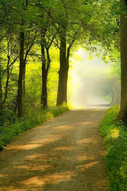 Towpath Trail/dirt road, Ohio Country Roads Take Me Home, Sun Shining, The Road Less Traveled, Road Less Traveled, Dirt Road, Green Gables, Country Road, Green Grass, Country Life