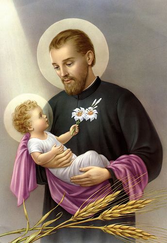 St Cajetan, Saint Cajetan, Novena Prayers, Miracle Prayer, Catholic Priest, Bride Of Christ, Holy Mary, Patron Saints, Martin Luther