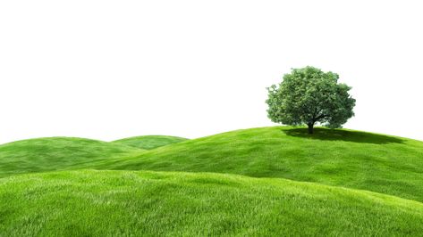 Earth Cycles, Winter Overlays, Graphic Design Portfolio Inspiration, Fake Grass, Png Aesthetic, Grass Field, Background Ideas, Photo Shop, Print Media