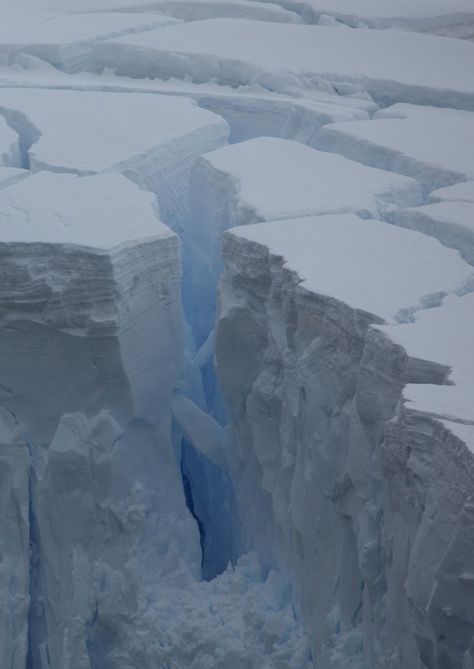 ICE/BLUE Ice Sheet, Head Pain, Sea Ice, Ice Sculptures, Snow And Ice, Nature Images, Winter Photography, Winter Scenes, Amazing Nature