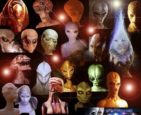 VIDEO: The Book Of An Alien Races has been Exposed – Daily Mysteries Extraterrestrial Beings, Twin Flame Love Quotes, Alien Photos, Alien Species, Spiritual Ascension, Army Sergeant, Human Evolution, Twin Flame Love, Racing Art