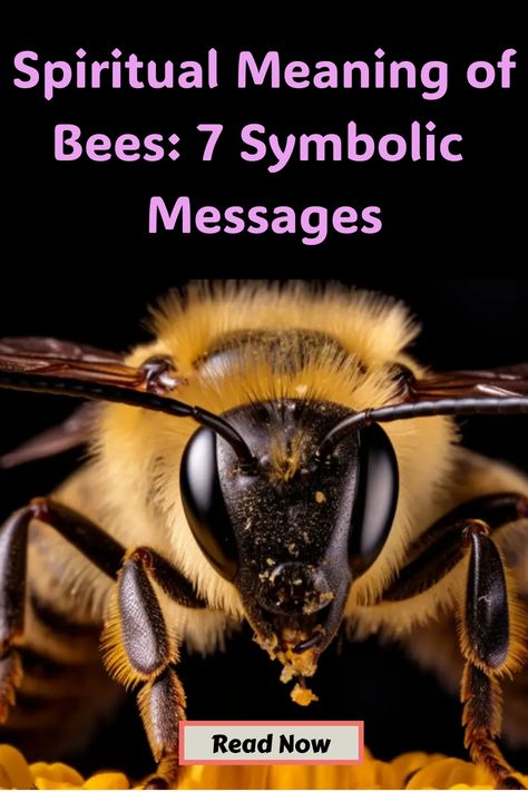 Spiritual Meaning of Bees: 7 Symbolic Messages Bumble Bee Symbolism, Meaning Of Bees, Insect Symbolism, Bee Spiritual Meaning, Spiritual Meaning Of Bees, Bee Spirit Animal, Honey Making, Bee Conservation, Bee Quotes