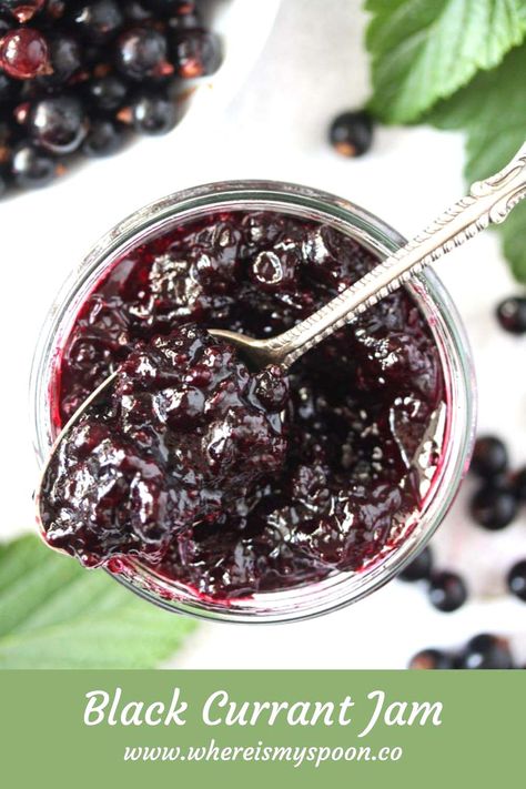 The best black currant jam recipe! Flavorful preserves making the most of these great summer berries. #whereismyspoon #blackcurrantjam #blackcurrants #blackcurrantpreserves #blackcurrantrecipe Red Currant Recipe, Black Currant Recipes, Black Currant Jam, Currant Recipes, Currant Jam, Rhubarb Jam Recipes, Currant Jelly, Rhubarb Jam, Blackberry Jam