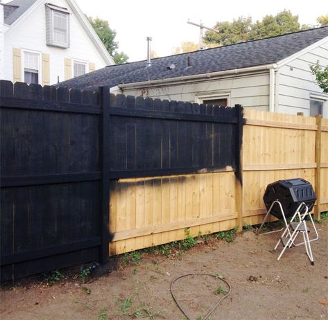 Manhattan Nest talks about staining his fence black Black Backyard Fence Ideas, Black Stained Fence Backyards, Black Fence Panels, Stain Fence Black, Stained Black Fence, Black Wooden Privacy Fence, Painting Fence Black, Black Wood Fence Backyards, Black Fence Stain