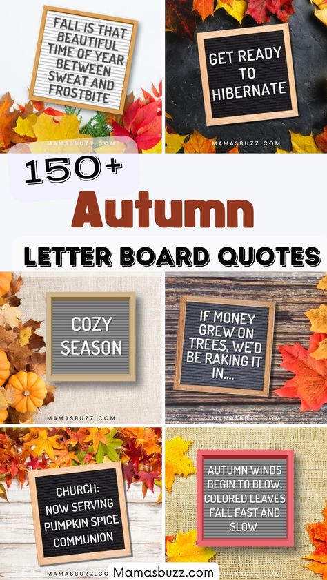 fall letter board quotes Summer To Autumn Quotes, Fall Pegboard Sayings, Fall Felt Board Ideas, Fall Quote Board Ideas, Fall Letter Sign Ideas, Autumn Message Board, September Word Board, Message Boards Funny, Autumn Message Board Quotes