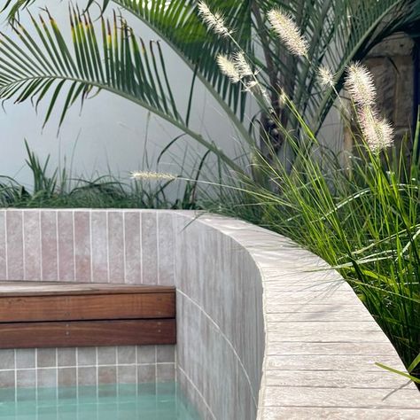 Denise Staffa | Landscape Designer Australia on Instagram: "Plunge Pool Design created for an under-utilised area in a small backyard on an awkard shaped block forming part of our extensive outdoor renovation project 🩵     Landscape Design Details @outsideinbydenise #pooldesign #perthpools Pool Tiles – Thirroul Bone Matt Subway @tilecloud Timber Deck – Silver Top Ash @lifewoodaustralia Stone Paving – Braham @matakastone Seamless Pool Edge - Architectural White @limecreteperth   Project Management & Landscape Install @revelllandscaping  Pool Builder @westraliapools     #plungepool #perthpooldesign #landscapingperth #concretepools #plungepools #swimmingpools #concretepoolsperth #perthlandscaping #outsideinbydenise #outdoorrenovation #stonepaving #pooltiles #pooldesigner #poolinspo #backyard Curved Swimming Pool Design, Curvy Pool Design, Pool Paving Ideas Australia, Plunge Pool Design, Pools On Acreage Australia, Fibreglass Pool Australia, Stone Paving, Outdoor Renovation, Stone Pool