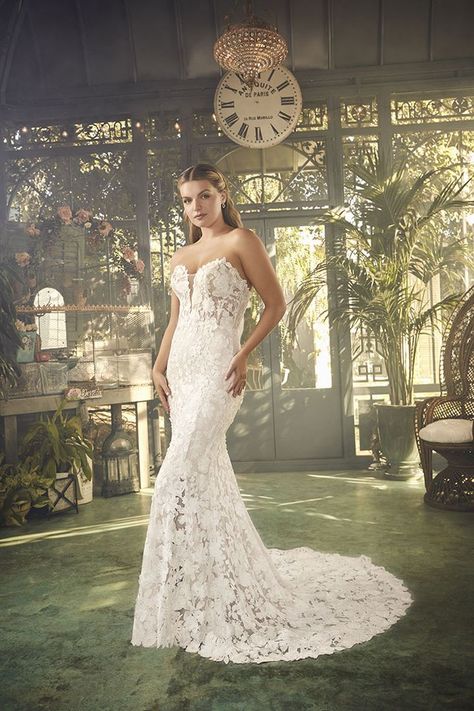 Style 2481 Jolie | Casablanca Bridal Casa Blanca Wedding Dress, Fit And Flare Gown, Casablanca Bridal, Dress Train, Long Train Wedding Dress, Essense Of Australia, Flare Gown, Wedding Dress Train, Lace Mermaid Wedding Dress