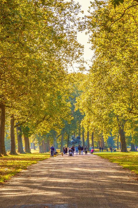 Hyde Park London Aesthetic, Best Parks In London, Parks In London, London Parks, London Painting, London Fields, City Parks, Hyde Park London, Greenwich Park