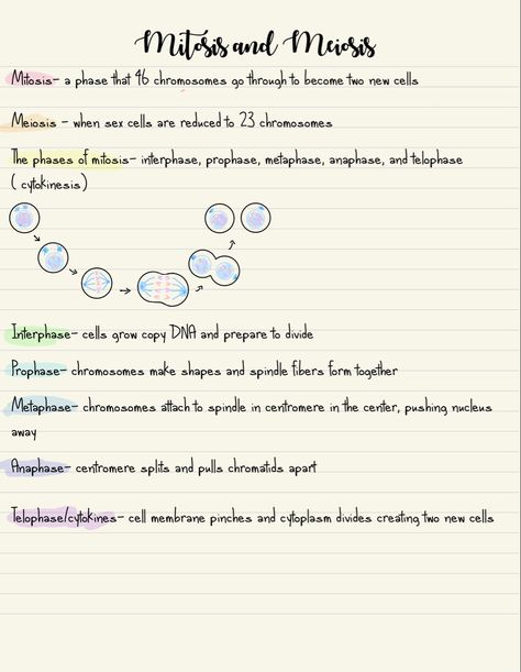 I posted this on my other account but i couldnt actually find it so here it is! Cell Membrane, Life Hacks For School, School Hacks, Accounting, Science