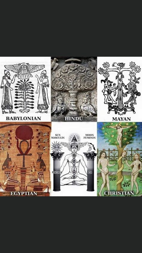 Ancient Civilizations Timeline, Government Lessons, Electric Universe, Ancient Babylon, Twin Flame Art, Flame Art, Alchemy Symbols, Wisdom Books, Ancient Origins