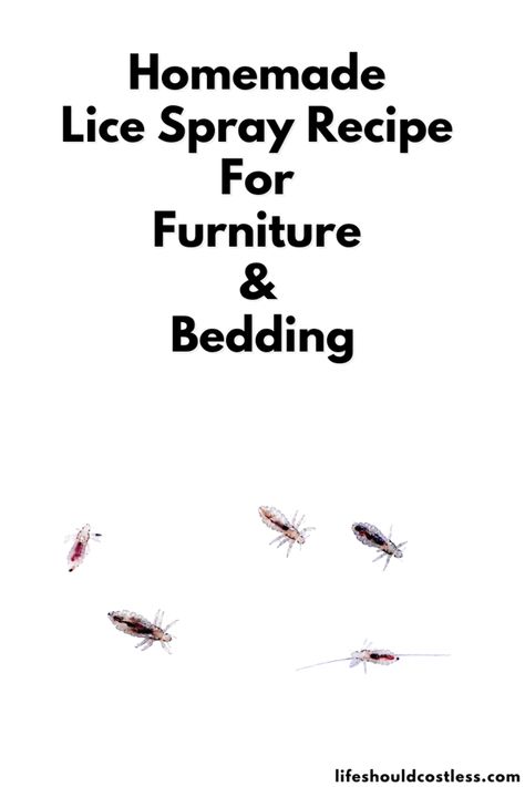 Tired of pesky lice ruining your days? 😩 Discover the secret recipe for a Homemade Lice Spray to keep your furniture and bedding lice-free! 🚫✨ Not only is it effective and affordable, but it's also easy to make, so you can spend less time worrying and more time having fun! 🎉 Get started on your lice-free journey today! 💃 Lice Spray For Furniture, Lice Spray Essential Oils, Tea Tree Oil Lice, Essential Oils For Lice, Lice Prevention Spray, Lice Spray, Lice Prevention, Daily Hair Routine, Head Louse