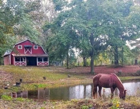 Southern Farm Aesthetic, Agriculture Painting, Old Country Aesthetic, Farm Goals, Americana Aesthetic, Nostalgia Aesthetic, Farm Lifestyle, Ranch Life, Farms Living