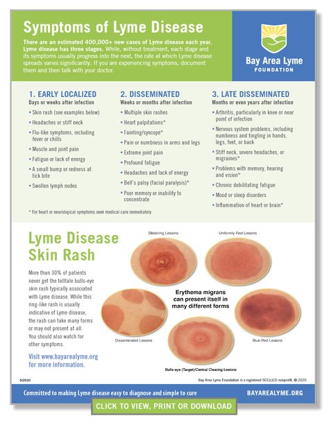 Lyme Disease Symptoms - Bay Area Lyme Foundation Lyme Symptoms, Disease Symptoms, Thyroid Health, Autoimmune Disease, Ticks, Chronic Illness, Bay Area, Disease, Health And Wellness