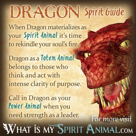 Dragon Spirit, Totem, & Power Animal Symbolism Meaning Animal Totem Spirit Guides, Dragon Meaning, Find Your Spirit Animal, Dragon Spirit, Dragon Quotes, Spirit Animal Meaning, Dragon Energy, Animal Meanings, Spirit Animal Totem