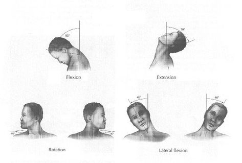 rsz_1neck-movements-thehealthybackblogcom Posture Fix, Text Neck, Sore Neck, Forward Head Posture, Neck Exercises, Mobility Exercises, Neck And Back Pain, Strengthening Exercises, Stretching Exercises