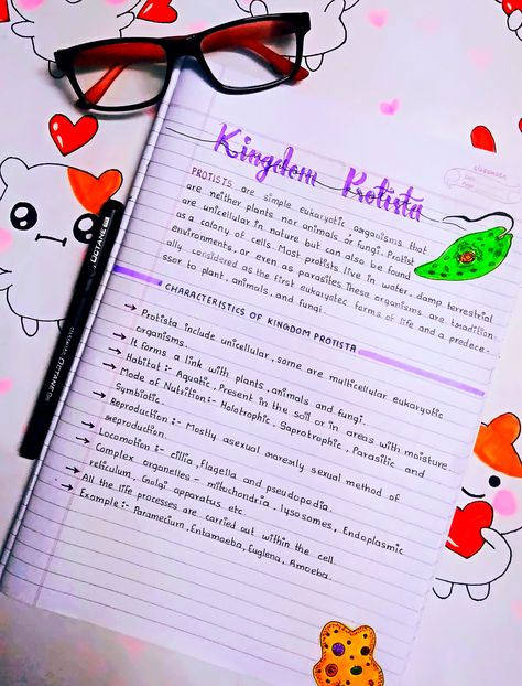 Kingdom Protista Notes Aesthetic, Five Kingdom Classification Notes, Kingdom Protista Notes Class 11, Kingdom Protista Notes, Biological Classification Notes Class 11, Kingdom Fungi Notes Class 11, Biological Classification Notes For Neet, Neet Exam Notes Biology, Educated Quotes