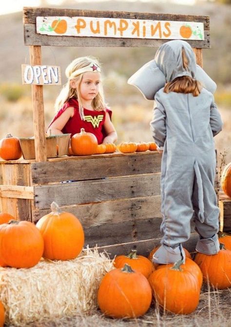 Pumpkin Patch Family Photos, Apple Orchard Pictures, Halloween Mini Session, Fall Baby Announcement, Pumpkin Patch Photoshoot, Pumpkin Stand, Cute Family Photos, Pumpkin Stands, Pumpkin Festival