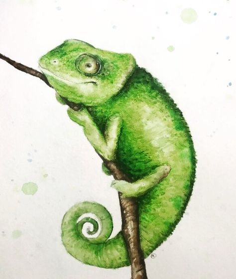 Chameleon Drawing, Chameleon Watercolor, Chameleon Art, Watercolour Cards, Art Pins, Poster Ideas, Pen And Watercolor, Color Inspo, Color Pencil