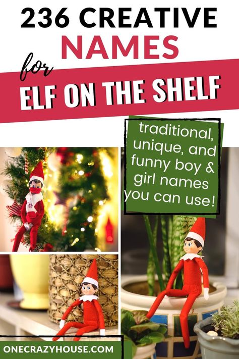 Did your home receive a new Elf on the Shelf this year? Find the perfect elf name from this mega list of 236 classic, unique, and funny boy & girl elf names for kids. #elfontheshelf #elfontheshelfideas #elfontheshelfnames Elf On Shelf Names, Girl Elf Names, Elf On The Shelf Names, Christmas Elf Names, Christmas Letter Template, Elf On Shelf, Elf Names, Elf Letters, Elf Kit