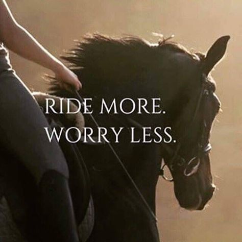 Nothing like riding a horse to make you forget about everything else! #horses #horsequotes #horsegirllife Equine Quotes, Inspirational Horse Quotes, Horse Riding Quotes, Equestrian Quotes, Cowgirl Quotes, Riding Quotes, Horse Inspiration, Country Girl Quotes, All About Horses