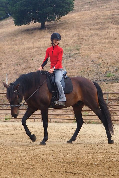 Someone Riding A Horse, Person Riding Horse, Walking Exercises, Horse Walking, Drawing Horses, Account Aesthetic, Lux Life, Walking Horse, Two Horses