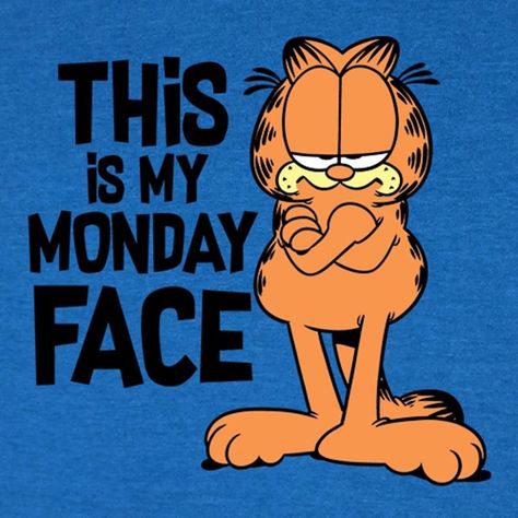 Garfield Monday, Garfield Quotes, Monday Face, Garfield Wallpaper, Garfield Pictures, Garfield Images, Garfield Cartoon, Funny Day Quotes, I Hate Mondays