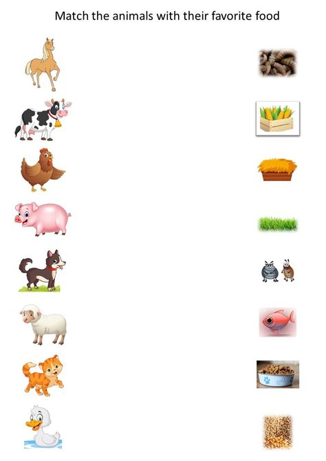 The animals with their favorite food match What Animals Eat Activities, Animals Food Worksheet, Animals And Their Food Worksheet, Animal And Their Food, Short I Worksheets, Kindergarten Puzzles, Food Lessons, Preschool Worksheets Free Printables, Emotions Preschool