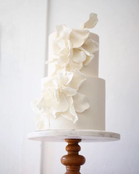 Textured Wedding Cakes, Contemporary Wedding Cakes, Wedding Cake Options, Pretty Wedding Cakes, Dream Wedding Cake, Modern Cakes, Classic Wedding Cake, Wedding Sweets, New Couple