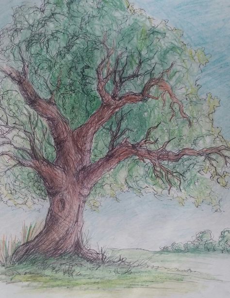 Coloring Trees With Colored Pencils, Colored Pencil Art For Beginners, Easy Coloured Drawings, Color Pencil Tree, Color Pencil Art Drawings Nature, Tree Color Pencil, Pencil Crayon Drawing, Grass Drawing, Colored Pencil Drawing Techniques