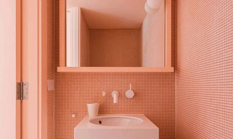 Salmon Bathroom Walls, Coral Bathroom Ideas, Colored Bathroom, Yes Or Yes, Girly Bathroom, House Colour, Marine Organism, Cold Room, House Color Schemes