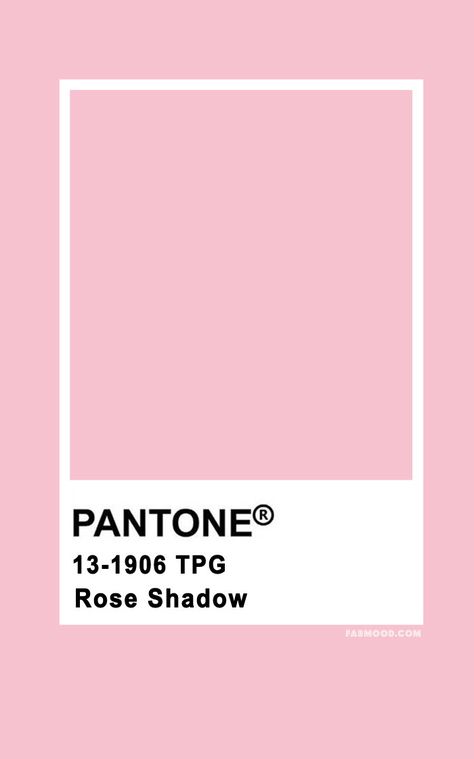 Pantone Rose Shadow 13-1906   #color #colorpalette #pantone pantone pink  #pink Pantone Rosewater, Pink Colors Shades, Pantone Pink Shades, Wedding Colour Palettes, Pantone Rose, Pink Pantone, Sage Wedding Colors, Fab Mood, Teal Shades