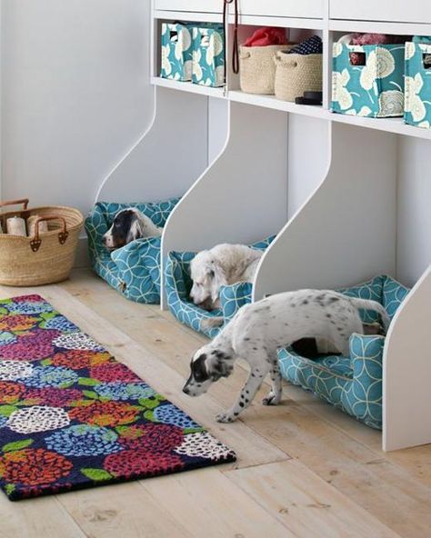 25 Modern Design Ideas for Pet Beds that Dogs and Owners Want Dog Bed Inspiration, Dog Room Design, Pet Supplies Organization, Dog Bedroom, Dog Organization, Pet Room, Pretty Dog, Dog Hotel, Tall Bookcase