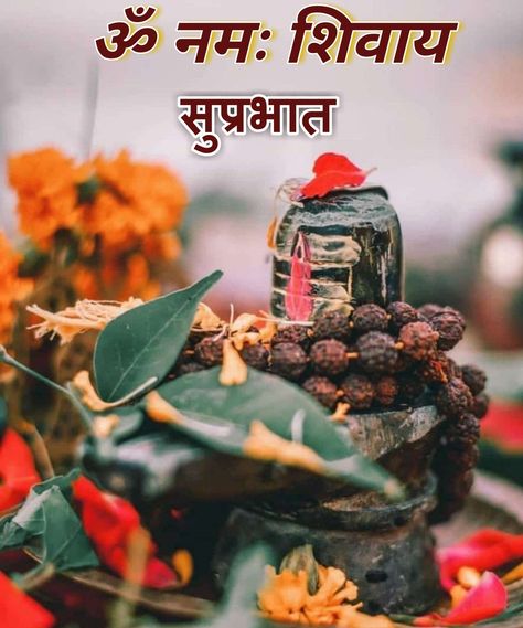 Maha Ashtami, Jai Bholenath, Guru Nanak Wallpaper, Bhole Nath, Good Morning Tea, Good Morning Happy Monday, Good Morning Images Download, Morning Sweetheart, Beautiful Morning Quotes