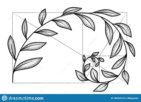 Fibonacci Sequence Art, Fibonacci Flower, Golden Spiral Tattoo, Fibonacci Spiral Tattoo, Fibonacci Sequence In Nature, Spiral Sketch, Fibonacci Spiral Art, Sequence Art, Golden Ratio Tattoo